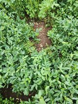 팜모닝 자유주제·자유게시판 게시글 이미지