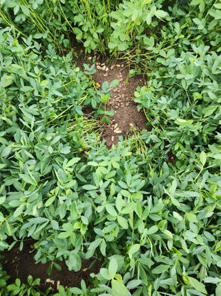 이조성님의 자유주제 · 자유게시판 작성글 사진