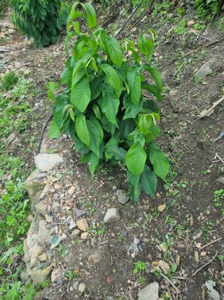 김용대님의 자유주제 · 자유게시판 작성글 사진