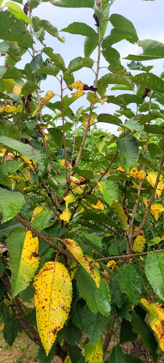 김영수님의 자유주제 · 자유게시판 작성글 사진