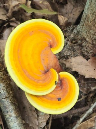 안길원님의 자유주제 · 자유게시판 작성글 사진