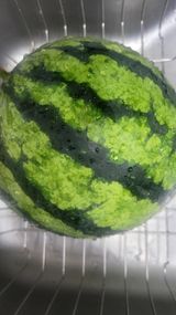 팜모닝 자유주제·자유게시판 게시글 이미지