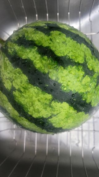 행복농장아다나님의 자유주제 · 자유게시판 작성글 사진