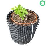 팜모닝 · 게시글 이미지