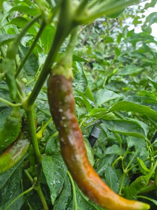 해마님의 자유주제 · 자유게시판 작성글 사진