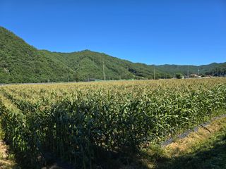 장관덕님의 자유주제 · 자유게시판 작성글 사진