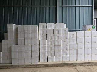 장관덕님의 자유주제 · 자유게시판 작성글 사진