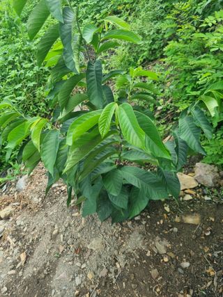 김용대님의 자유주제 · 자유게시판 작성글 사진