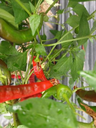 김덕수님의 자유주제 · 자유게시판 작성글 사진