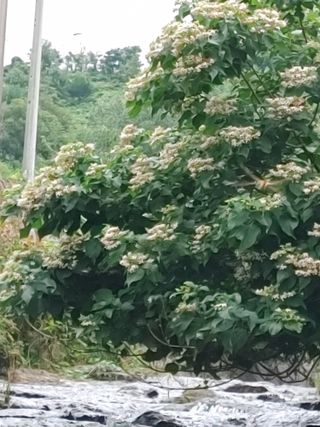 안길원님의 자유주제 · 자유게시판 작성글 사진