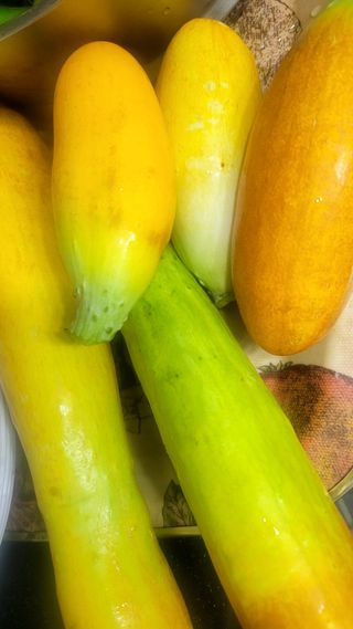 행복농장아다나님의 자유주제 · 자유게시판 작성글 사진