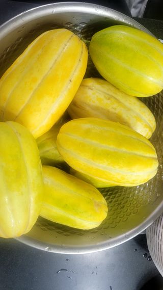 행복농장아다나님의 자유주제 · 자유게시판 작성글 사진