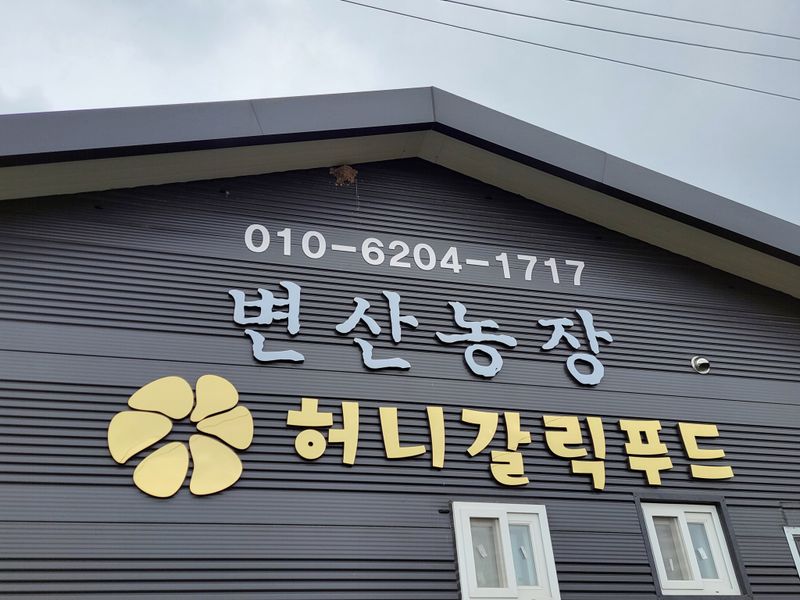 석승인님의 장터 판매 상품 [마늘정과 200g] 첨부 사진