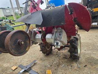 박수열님의 자유주제 · 자유게시판 작성글 사진