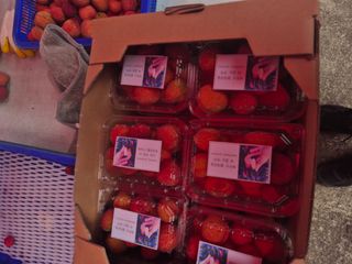 다디단 망고 농장님의 자유주제 · 자유게시판 작성글 사진