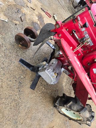 박수열님의 자유주제 · 자유게시판 작성글 사진