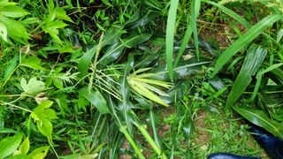 두원리 산막골농부님의 자유주제 · 자유게시판 작성글 사진