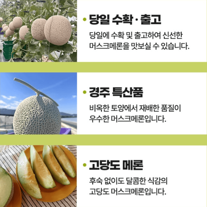 스피드번님의 장터 판매 상품 [(특가)국내산 머스크메론] 첨부 사진