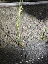 팜모닝 자유주제·자유게시판 게시글 이미지