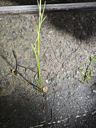 김두영님의 자유주제 · 자유게시판 작성글 사진