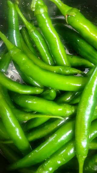 행복농장아다나님의 자유주제 · 자유게시판 작성글 사진