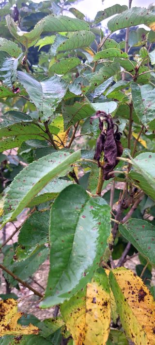 김영수님의 자유주제 · 자유게시판 작성글 사진