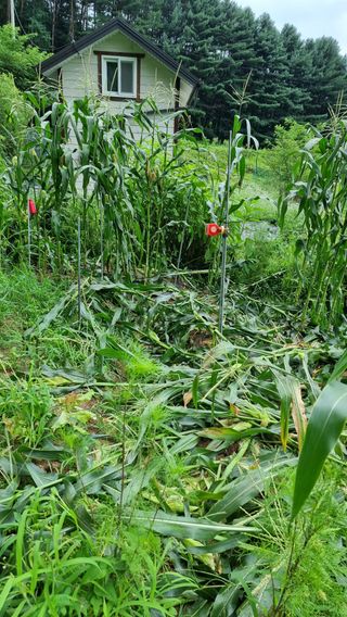 두원리 산막골농부님의 자유주제 · 자유게시판 작성글 사진