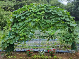 윤무섭님의 자유주제 · 자유게시판 작성글 사진