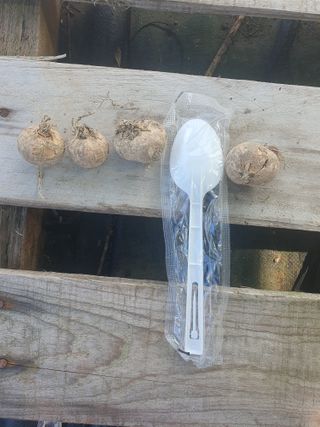 용산골님의 자유주제 · 자유게시판 작성글 사진