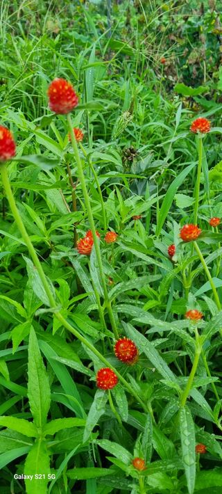 전순옥님의 자유주제 · 자유게시판 작성글 사진