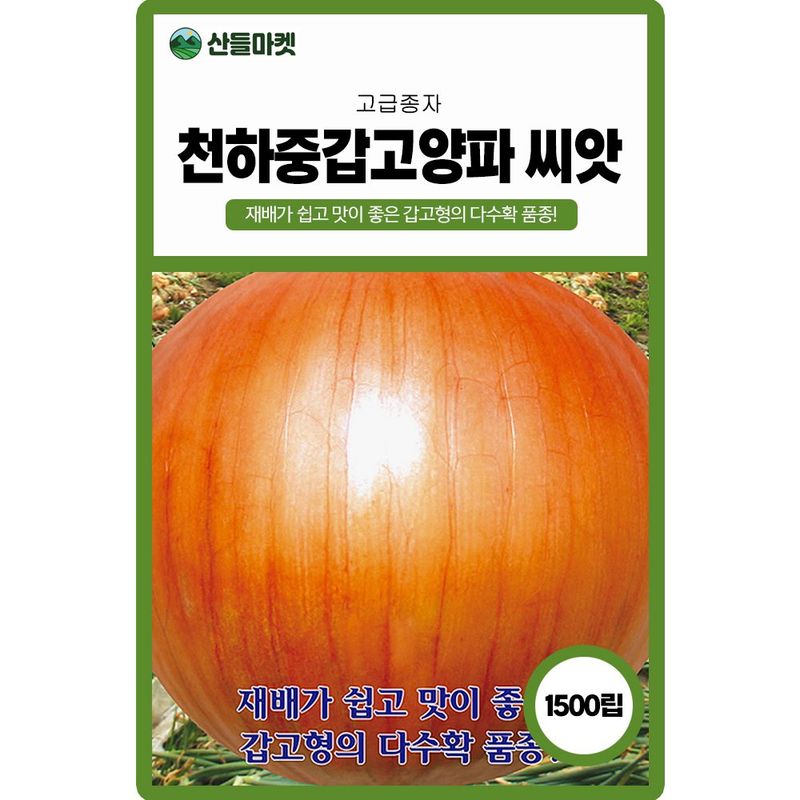 장터 상품 [천하중갑고 양파씨앗 1500립 종자 5봉 구매시+랜덤씨앗 1개 증정] 썸네일