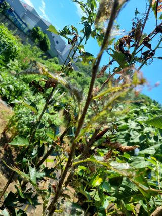 이병문님의 자유주제 · 자유게시판 작성글 사진