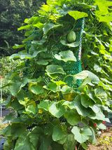 팜모닝 자유주제·자유게시판 게시글 이미지