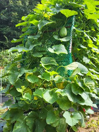 윤무섭님의 자유주제 · 자유게시판 작성글 사진