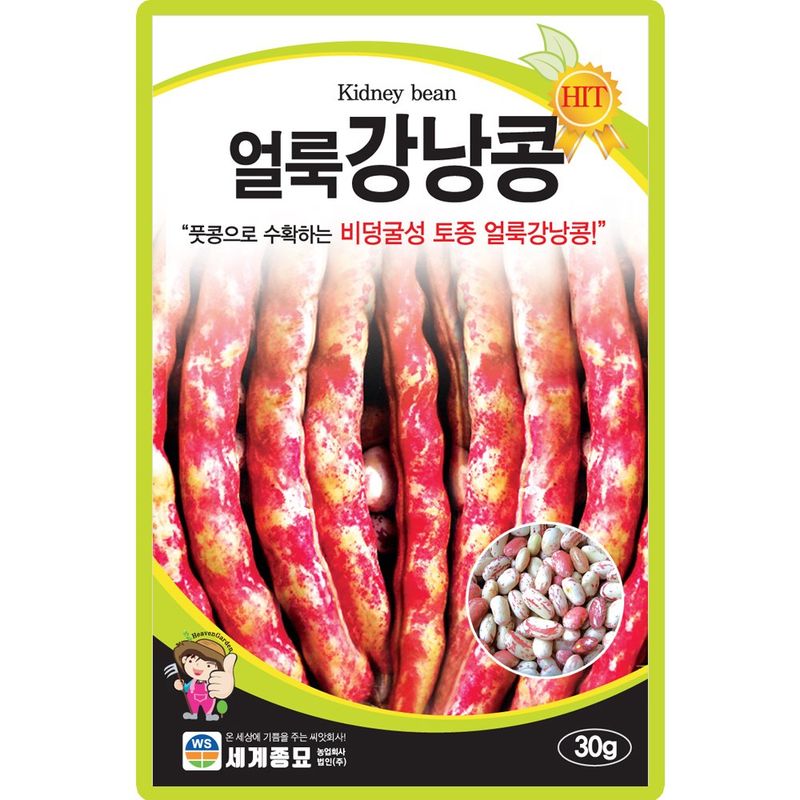 장터 상품 [얼룩강낭콩 씨앗 30g 종자 5봉 구매시+랜덤씨앗 1개 증정] 썸네일