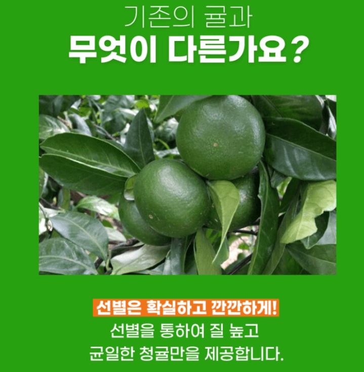 스피드번님의 장터 판매 상품 [제주 풋귤(청귤)] 첨부 사진