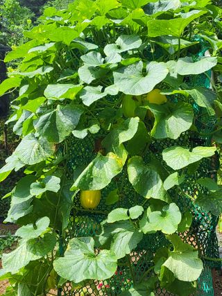 윤무섭님의 자유주제 · 자유게시판 작성글 사진