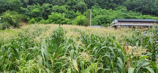 박종혁 님의 자유주제 · 자유게시판 작성글 사진