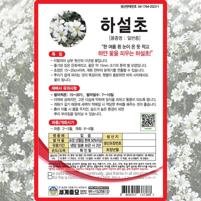 산들마켓,씨앗마켓님의 장터 판매 상품 [하설초 씨앗 500립 종자 5봉 구매시+랜덤씨앗 1개 증정] 첨부 사진