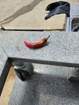 팜모닝 자유주제·자유게시판 게시글 이미지