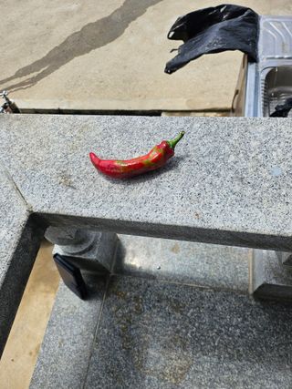 충남공주이도은님의 자유주제 · 자유게시판 작성글 사진