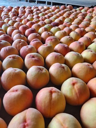 딱딱이~~님의 자유주제 · 자유게시판 작성글 사진