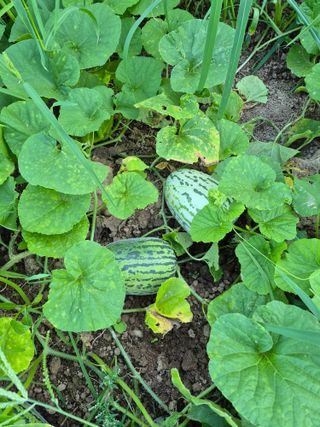 이정민님의 자유주제 · 사진전 작성글 사진