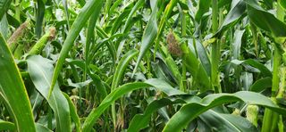 박종혁 님의 자유주제 · 자유게시판 작성글 사진