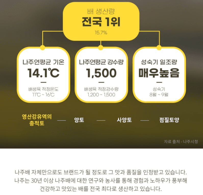 스피드번님의 장터 판매 상품 [나주 배(원황)] 첨부 사진