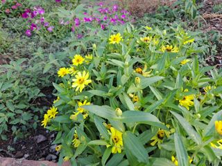 울금박사/빈덕열목사님의 자유주제 · 자유게시판 작성글 사진