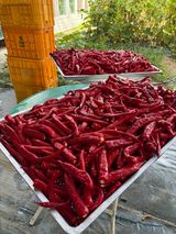 팜모닝 자유주제·자유게시판 게시글 이미지