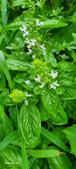 전순옥님의 자유주제 · 자유게시판 작성글 사진