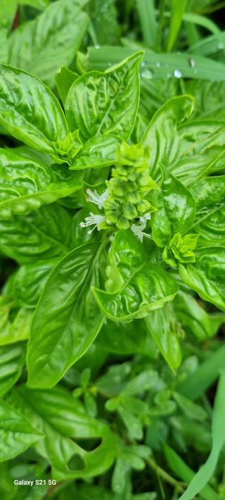 전순옥님의 자유주제 · 자유게시판 작성글 사진