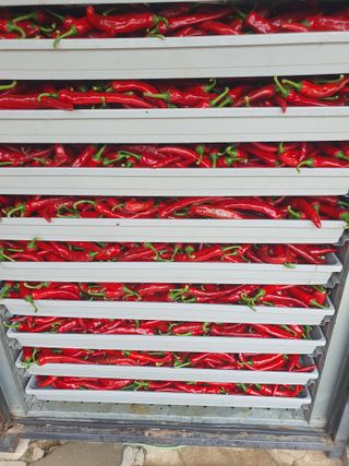 옥천서화농님의 자유주제 · 자유게시판 작성글 사진